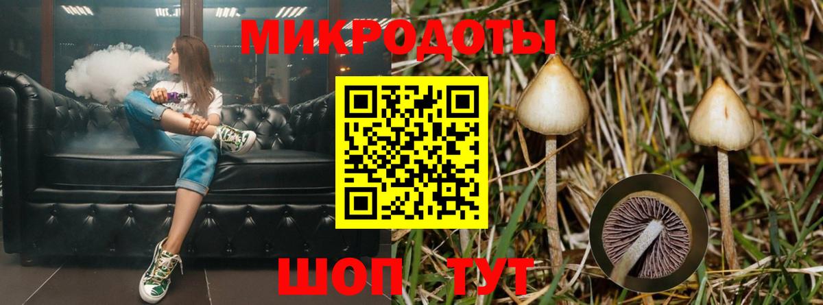 Галлюциногенные грибы Magic Shrooms  Вход с VPN  Удомля 