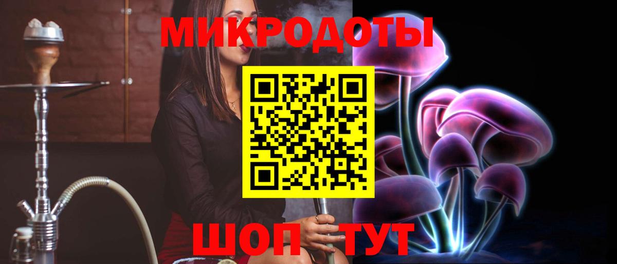 Галлюциногенные грибы Psilocybe Удомля