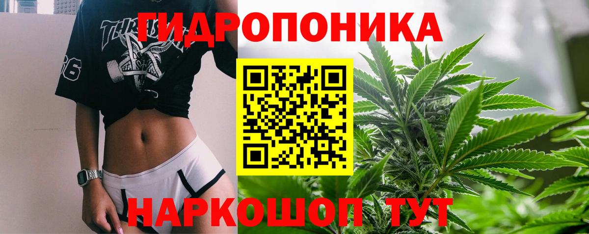 Бошки Шишки гибрид  Бошки Шишки Amnesia  Удомля  Вход с VPN  Бошки марихуана THC 21% 
